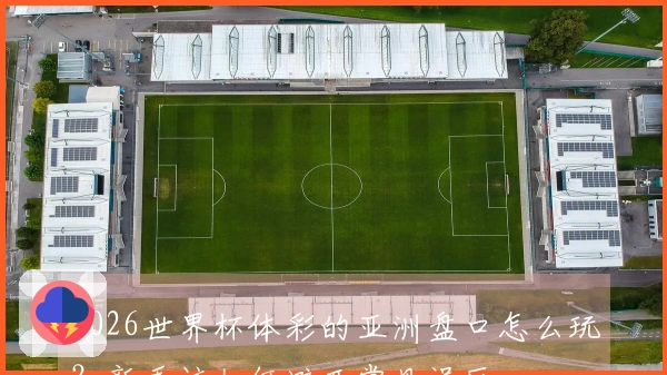 2026世界杯体彩的亚洲盘口怎么玩？新手该如何避开常见误区