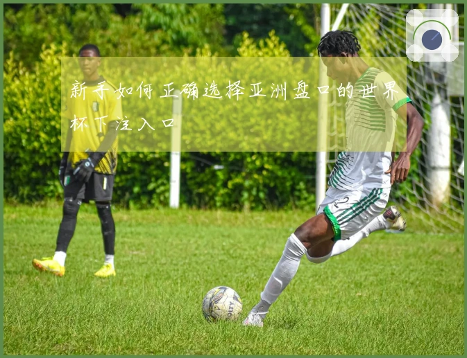 新手如何正确选择亚洲盘口的世界杯下注入口